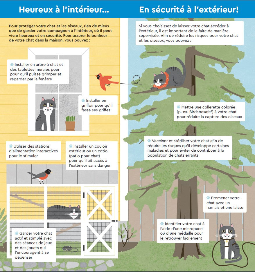 Dépliant Pour des chats et des oiseaux en sécurité