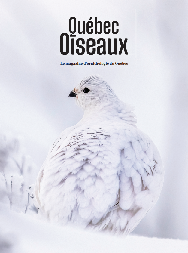 QuébecOiseaux 37(2)