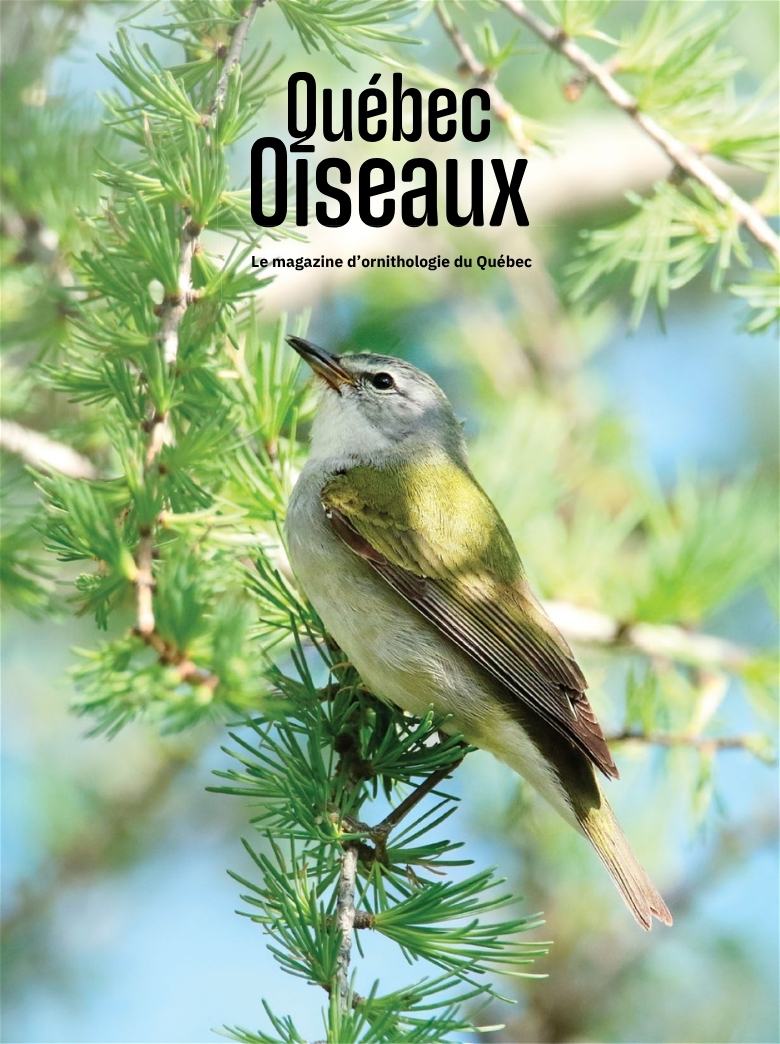 QuébecOiseaux 37(4)