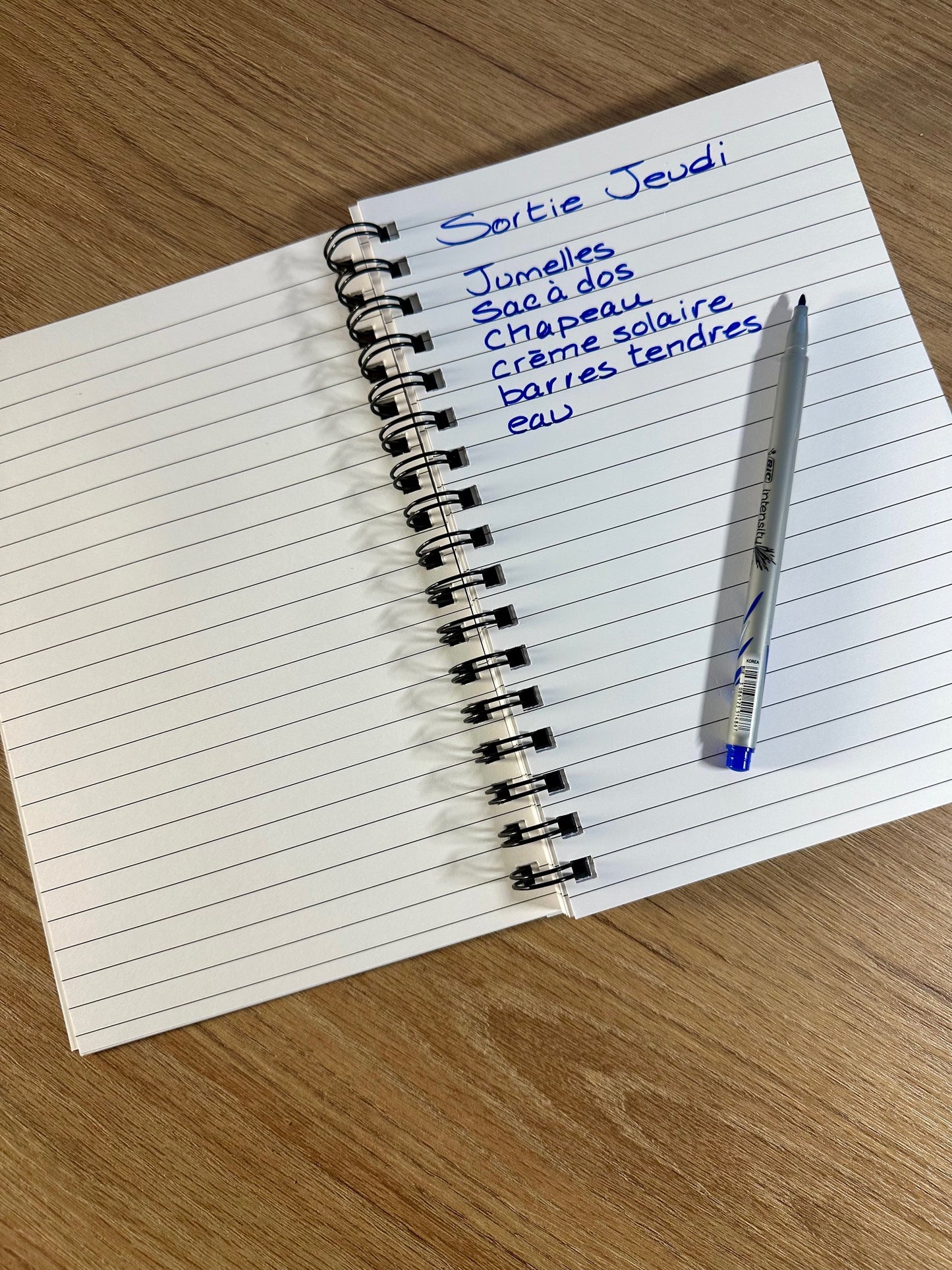 Cahier de notes Grand Pic