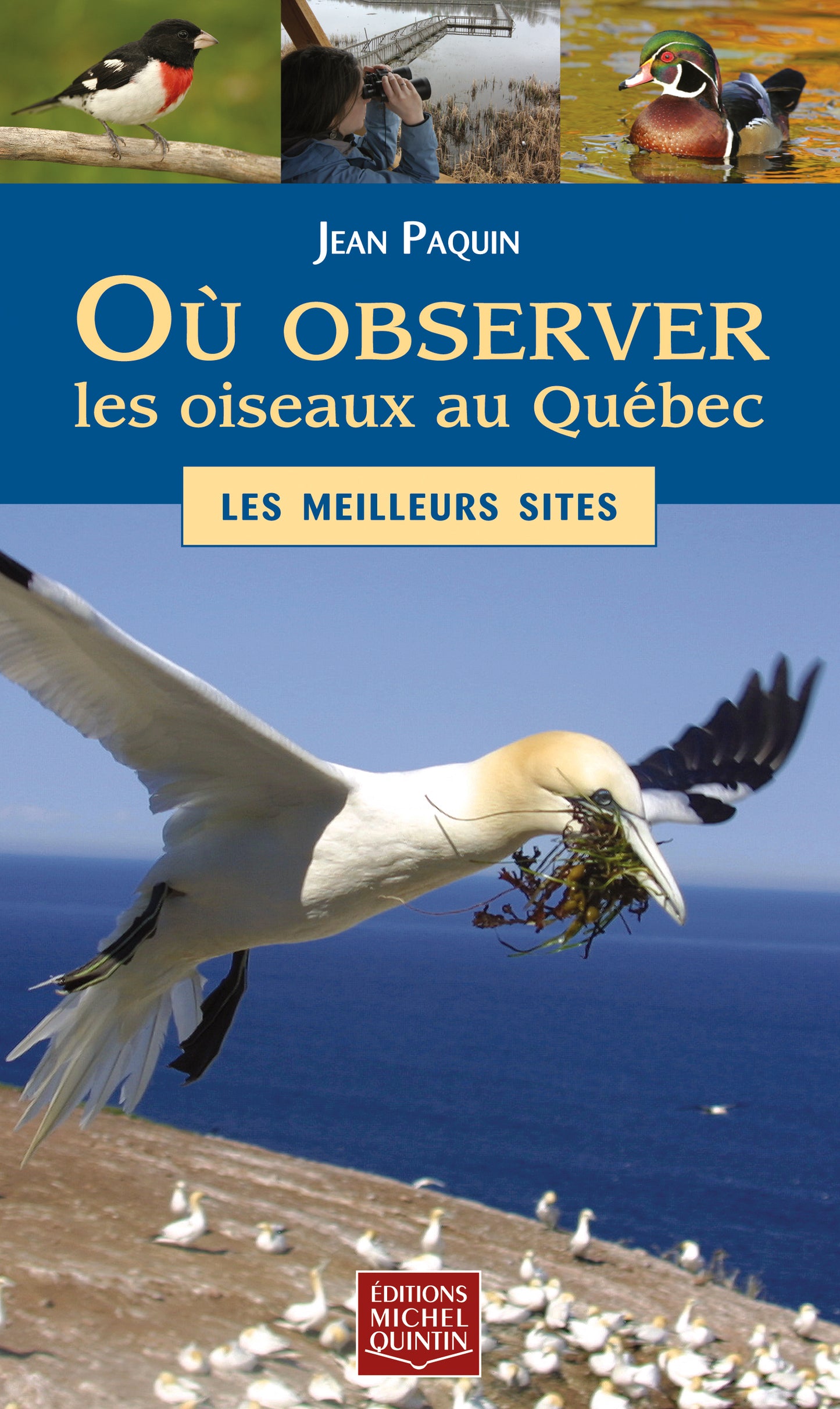 Où observer les oiseaux au Québec : Les meilleurs sites