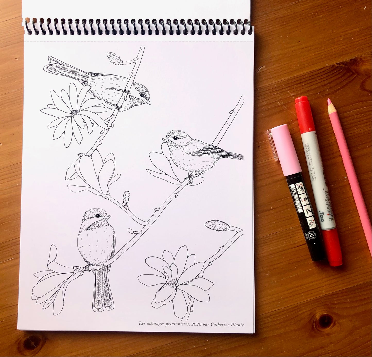 Cahier à colorier - Oiseaux de nos jardins