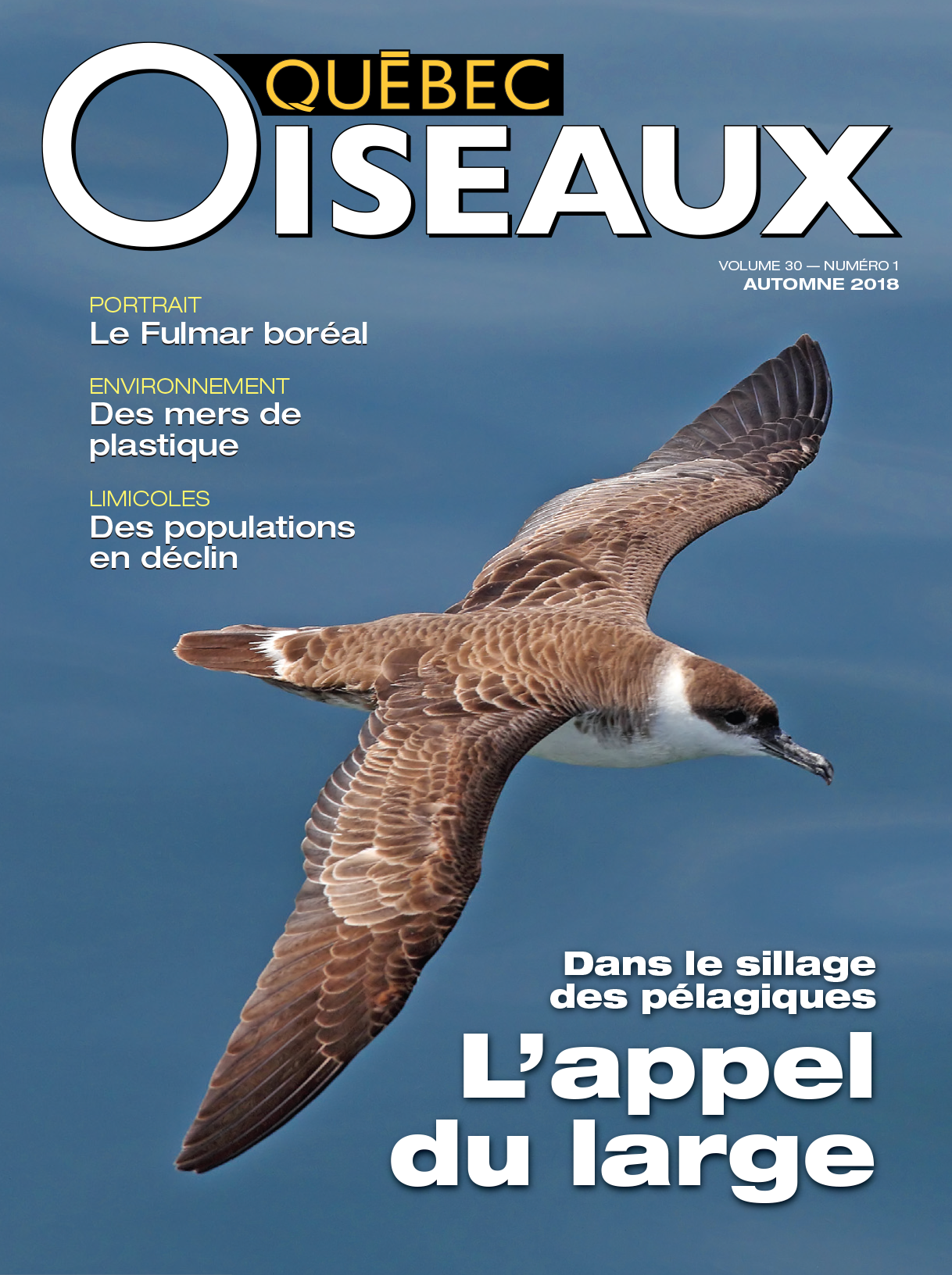 QuébecOiseaux 30(1)
