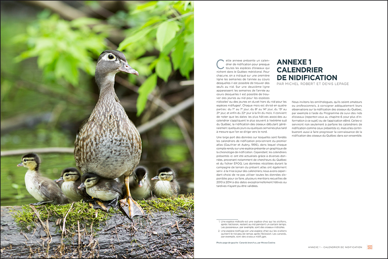 Deuxième Atlas des oiseaux nicheurs du Québec méridional