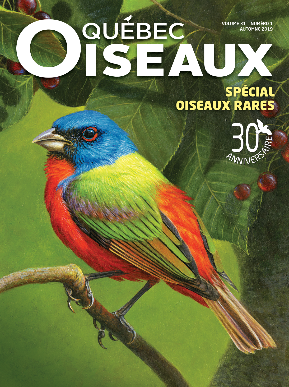 QuébecOiseaux 31(1)