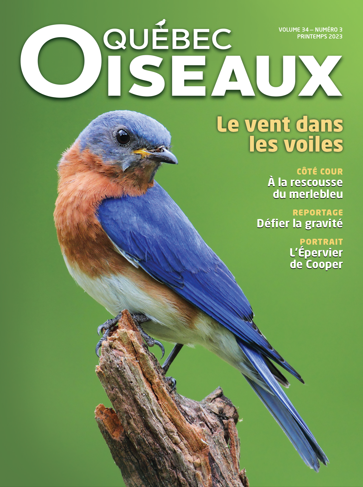 QuébecOiseaux 34(3)