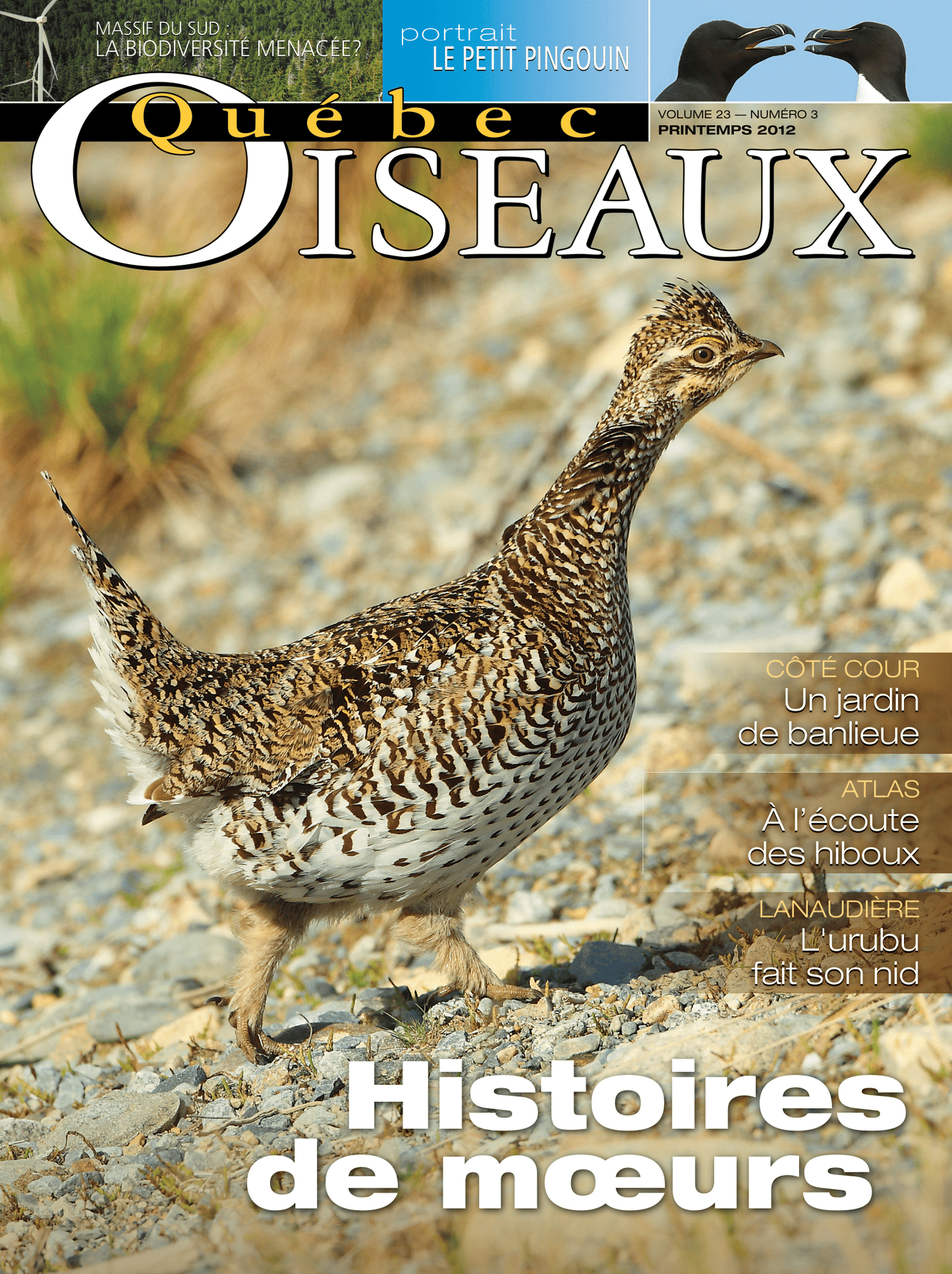 QuébecOiseaux 23(3)