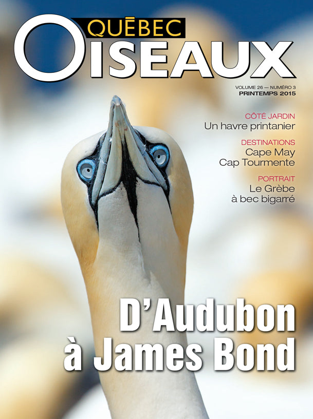QuébecOiseaux 26(3)
