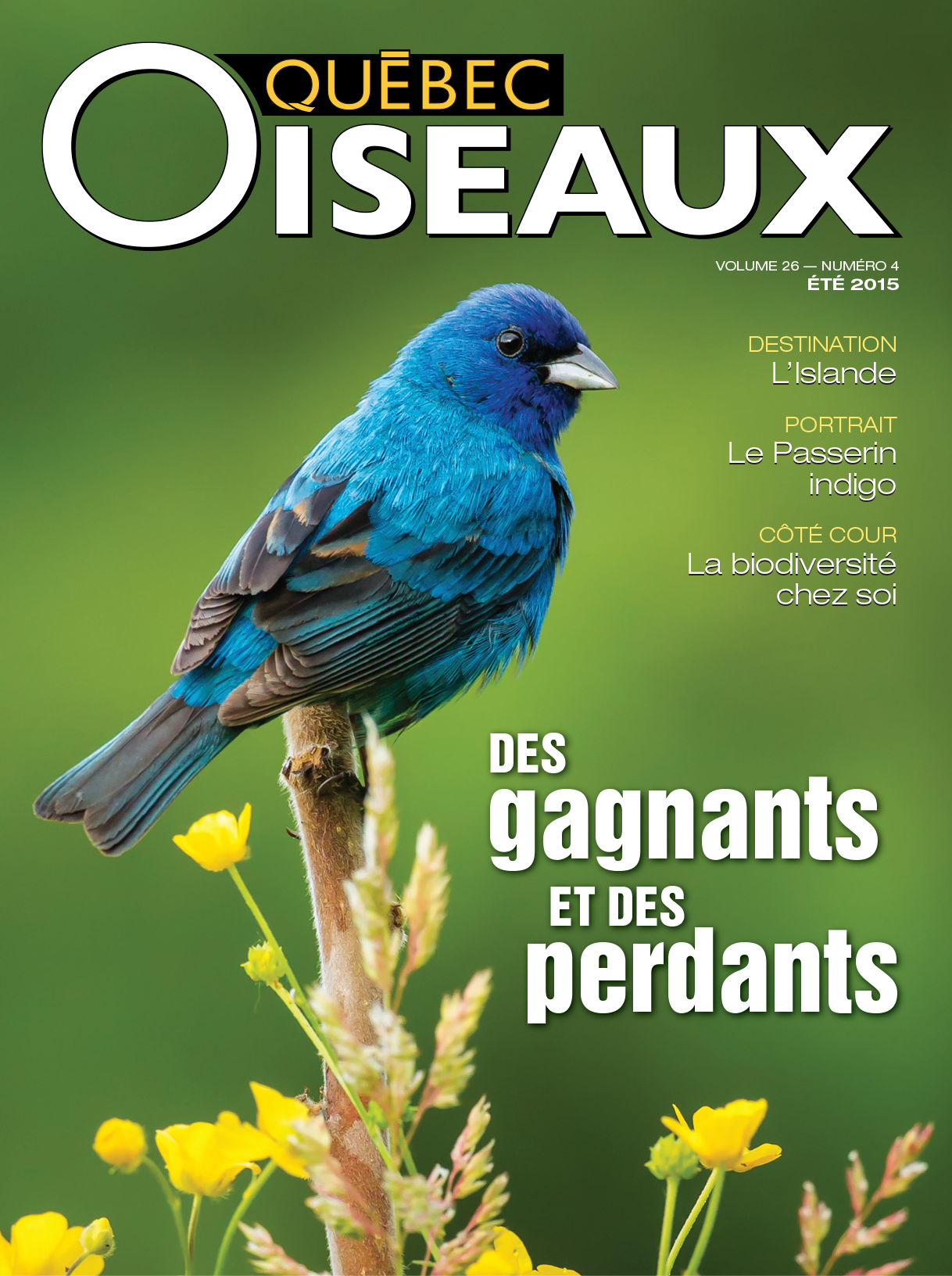 QuébecOiseaux 26(4)