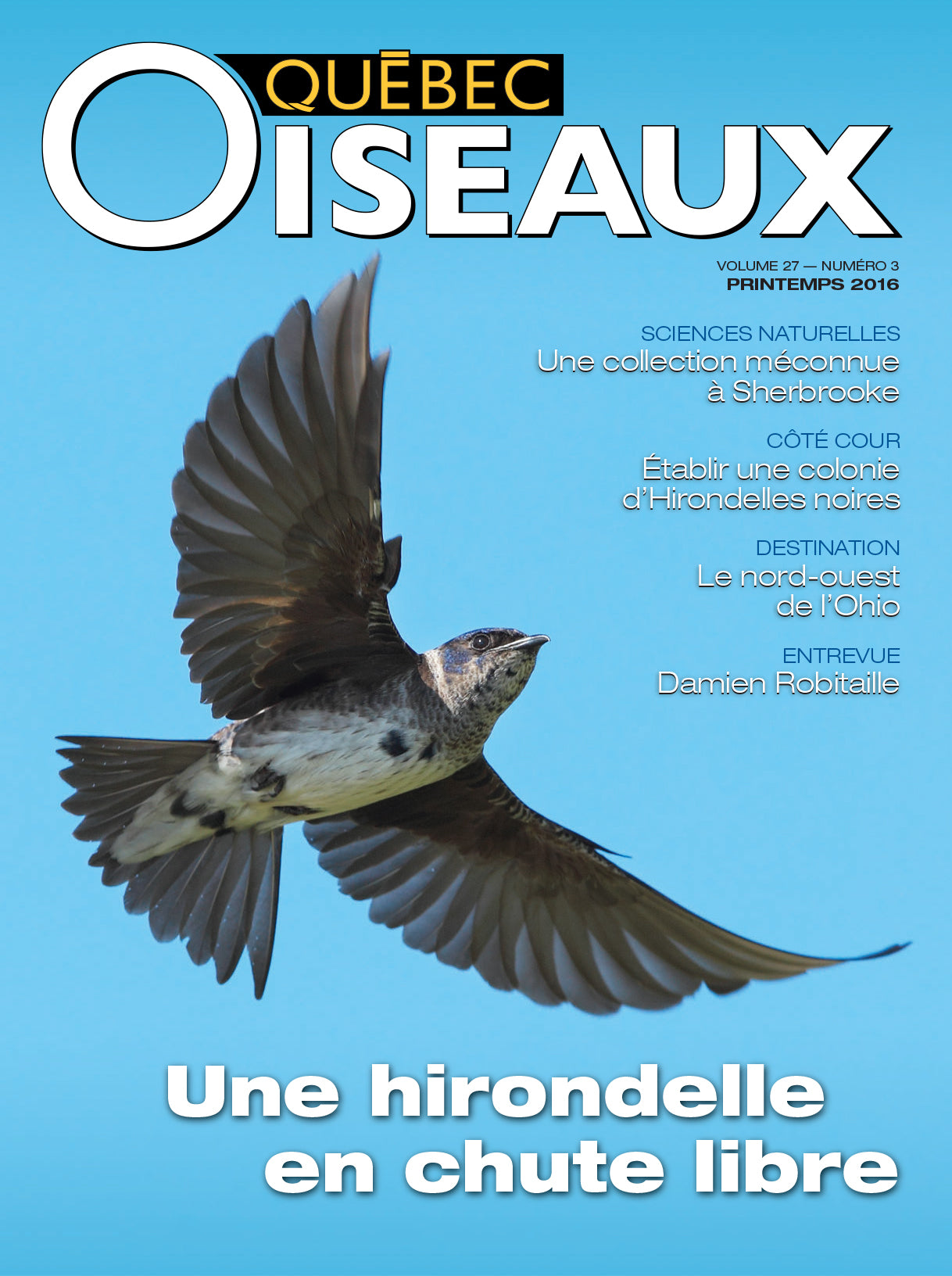 QuébecOiseaux 27(3)
