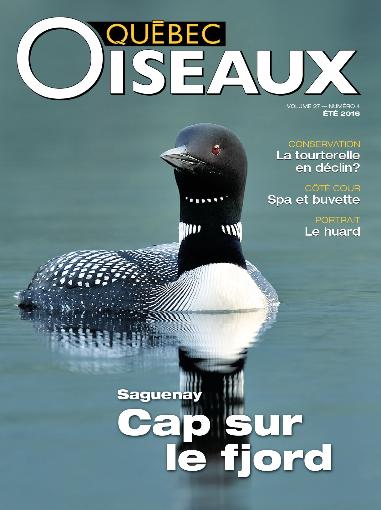 QuébecOiseaux 27(4)