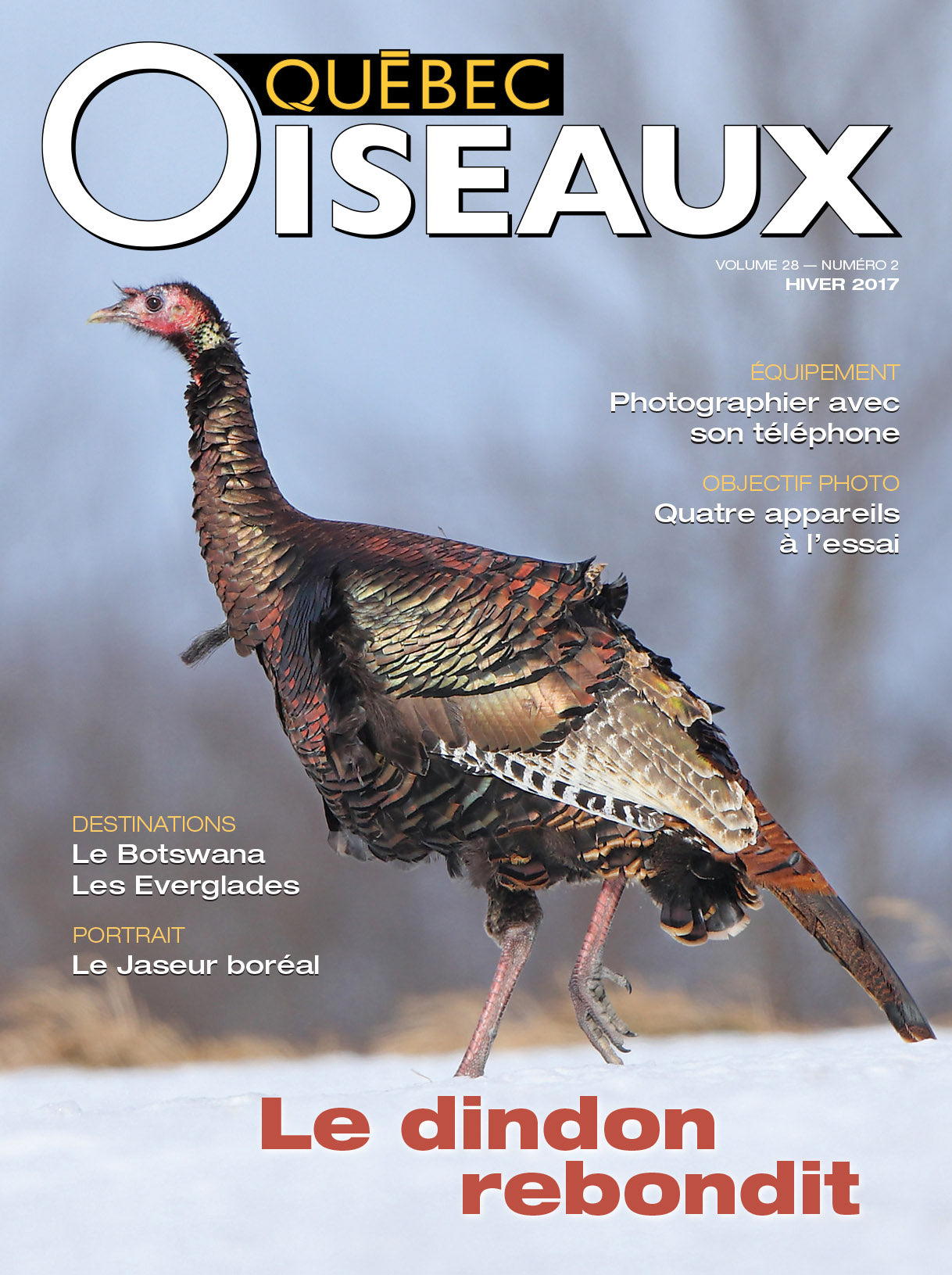 QuébecOiseaux 28(2)