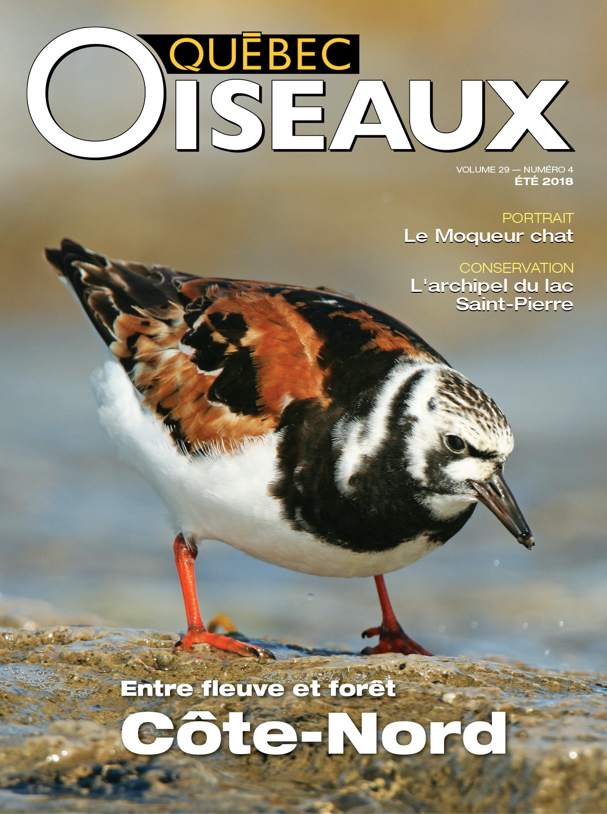 QuébecOiseaux 29(4)