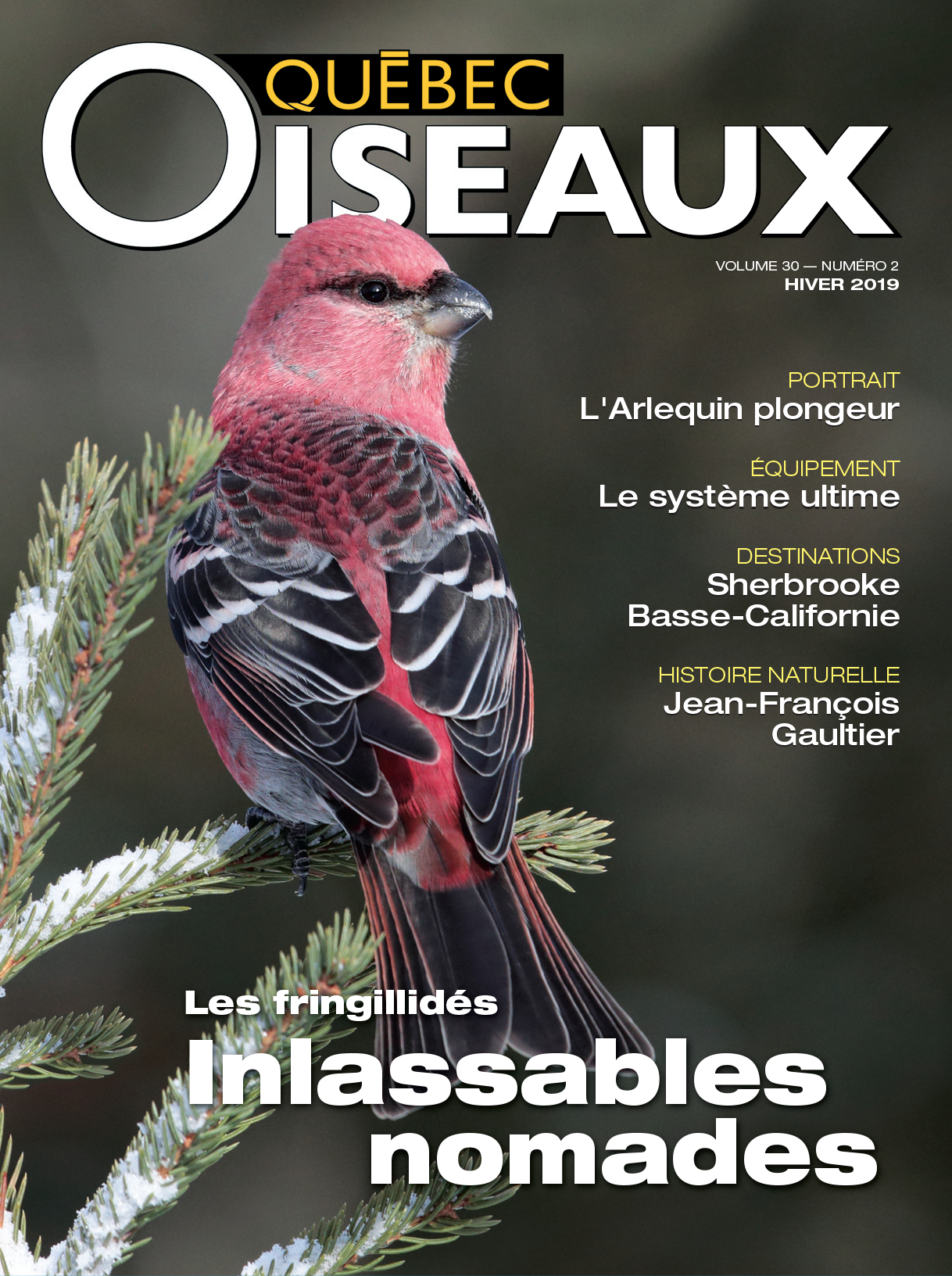 QuébecOiseaux 30(2)
