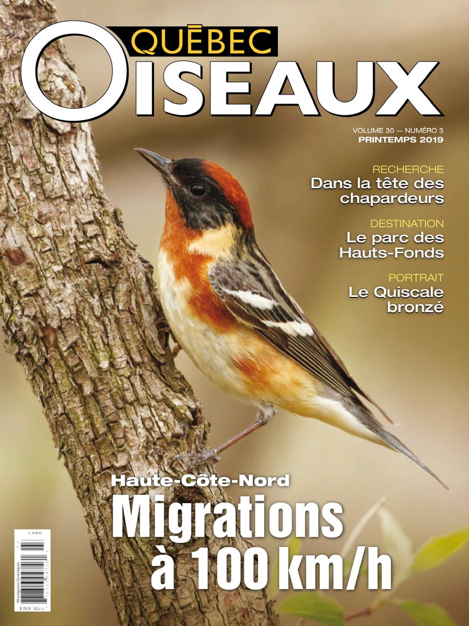 QuébecOiseaux 30(3)