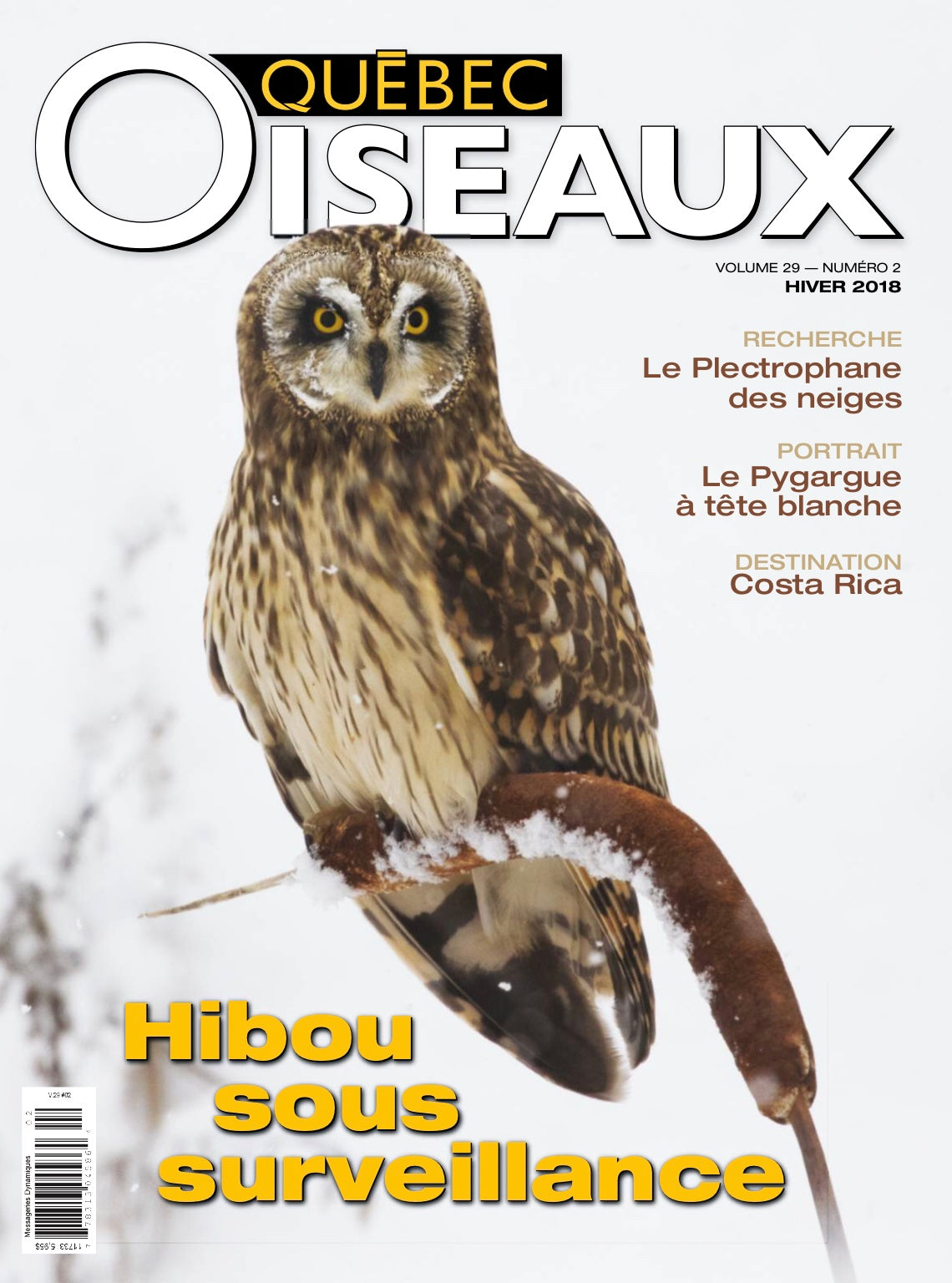 QuébecOiseaux 29(2)