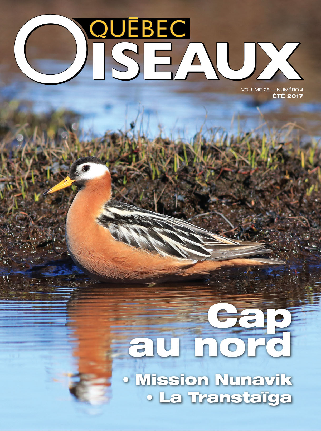 QuébecOiseaux 28(4)