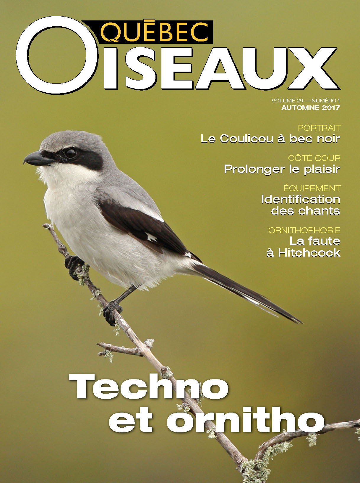 QuébecOiseaux 29(1)