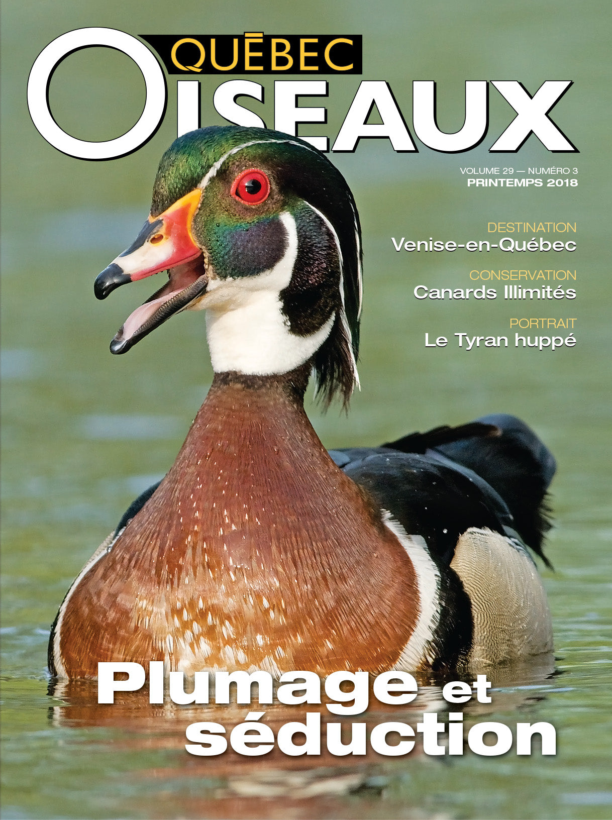 QuébecOiseaux 29(3)