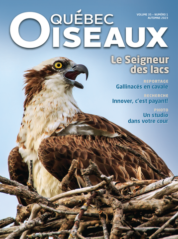 QuébecOiseaux 35(1)
