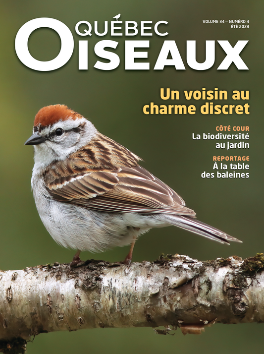 QuébecOiseaux 34(4)