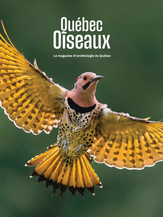 QuébecOiseaux 36(3)