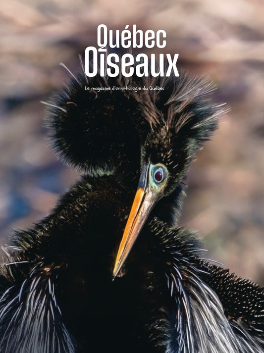 QuébecOiseaux 37(1)