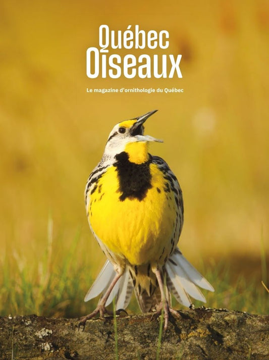 QuébecOiseaux 37(3)