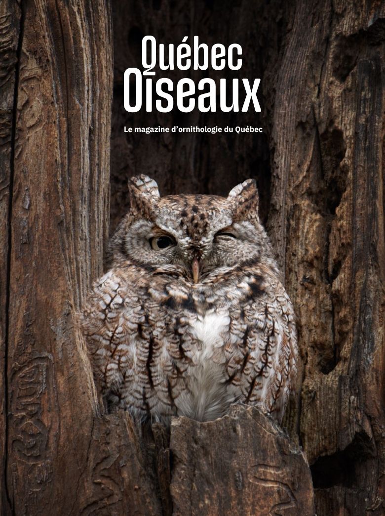 QuébecOiseaux 38(1)