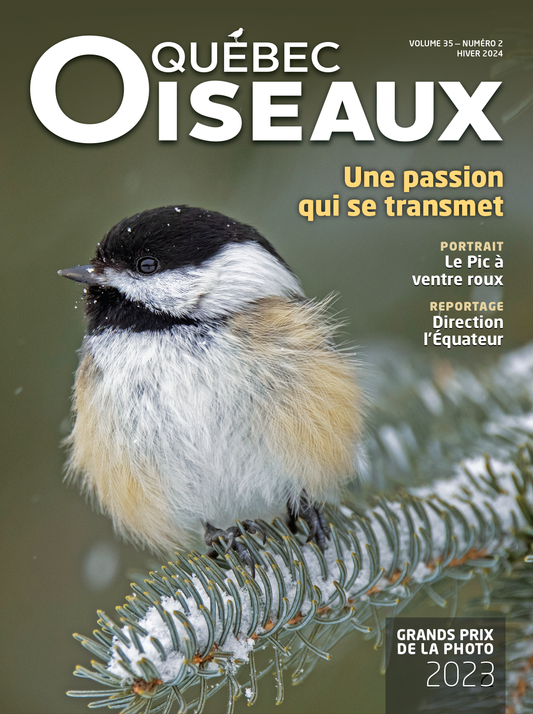 QuébecOiseaux 35(2)