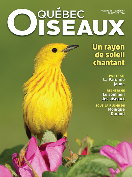 QuébecOiseaux 35(3)