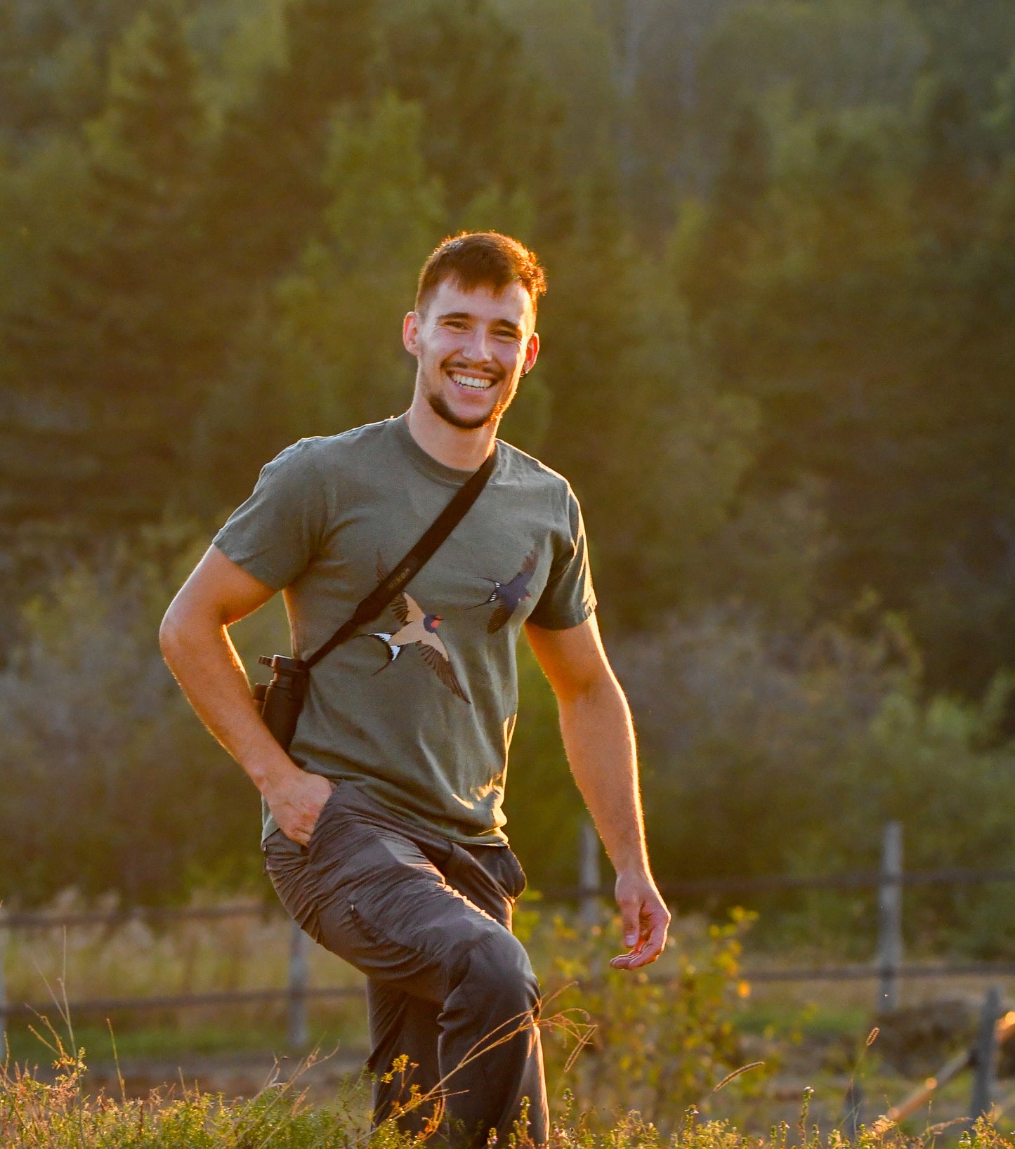 T-shirt unisexe - Hirondelles rustiques