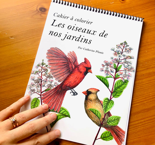 Cahier à colorier - Oiseaux de nos jardins