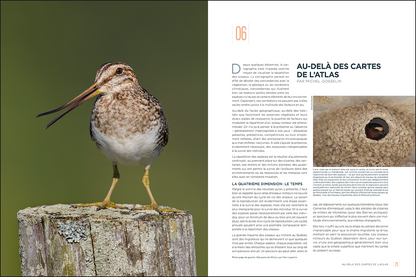 Deuxième Atlas des oiseaux nicheurs du Québec méridional