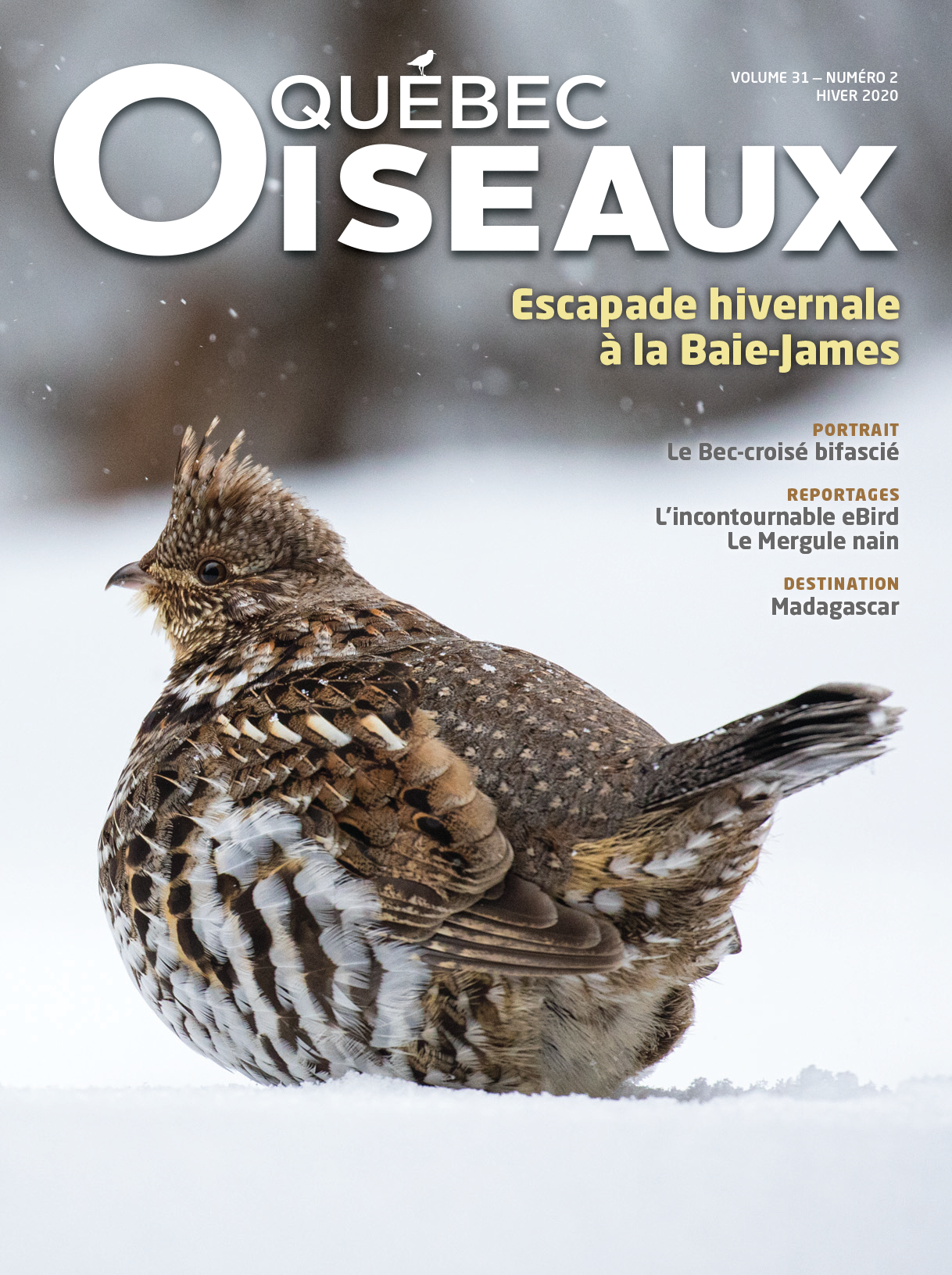 QuébecOiseaux 31(2)