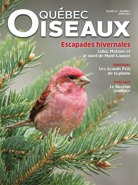 QuébecOiseaux 32(2)