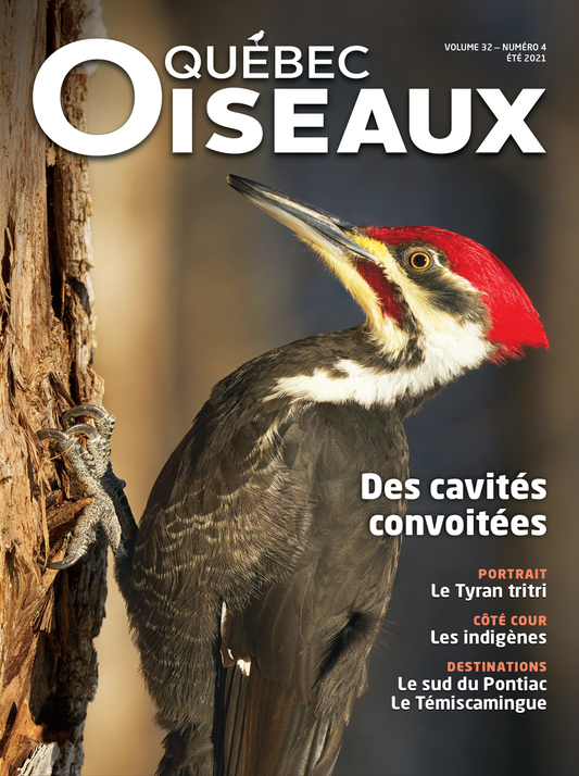 QuébecOiseaux 32(4)