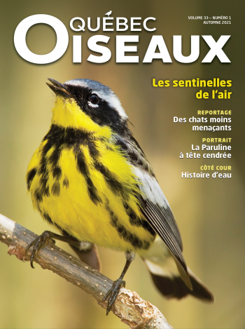 QuébecOiseaux 33(1)