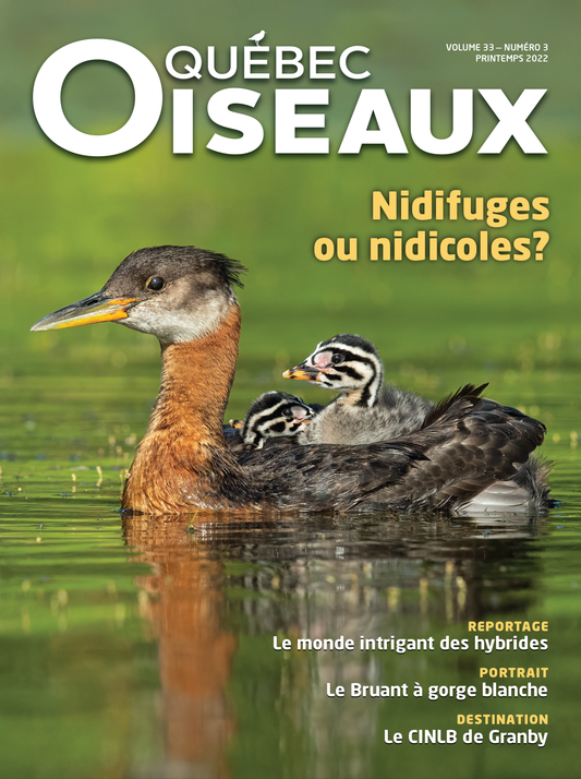 QuébecOiseaux 33(3)