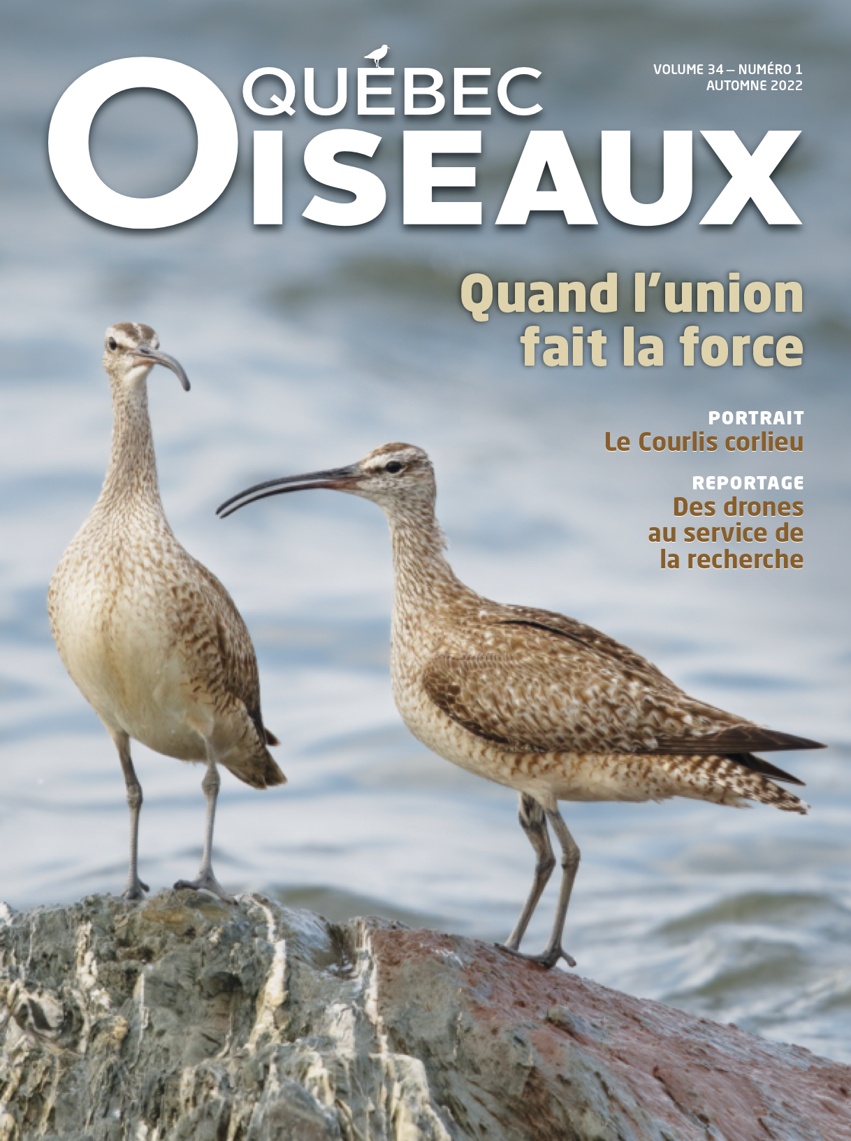 QuébecOiseaux 34(1)