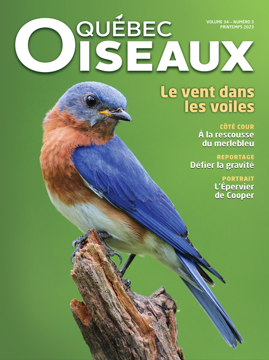 QuébecOiseaux 34(3)