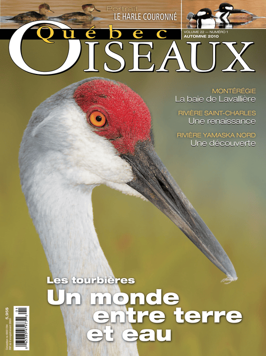 QuébecOiseaux 22(1)