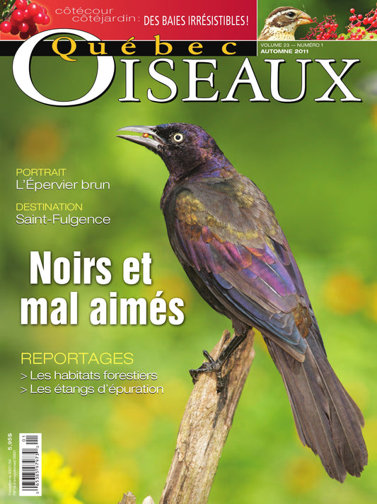 QuébecOiseaux 23(1)