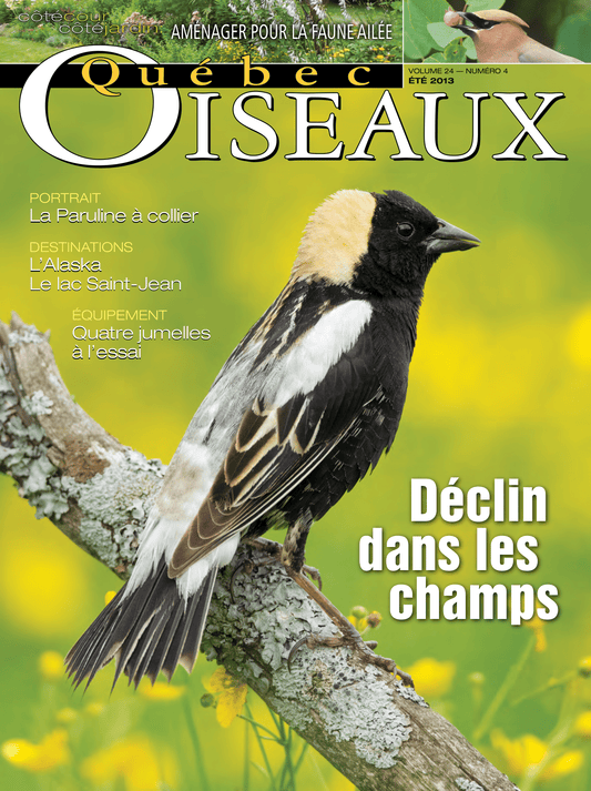 QuébecOiseaux 24(4)