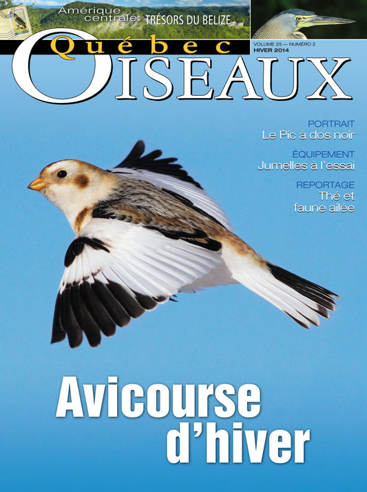 QuébecOiseaux 25(2)