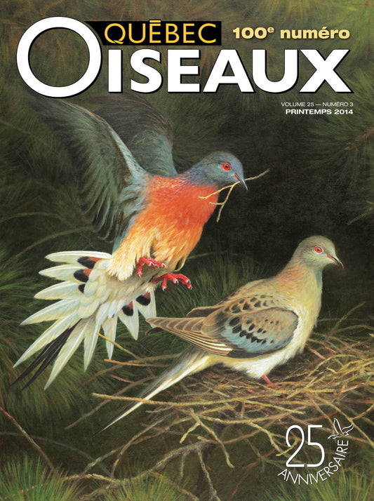 QuébecOiseaux 25(3)