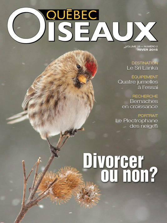 QuébecOiseaux 26(2)