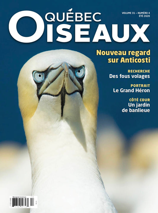 QuébecOiseaux 31(4)