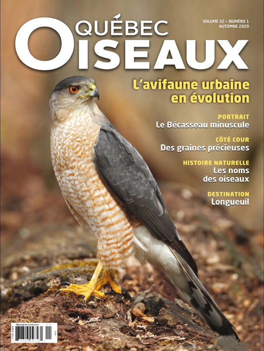 QuébecOiseaux 32(1)