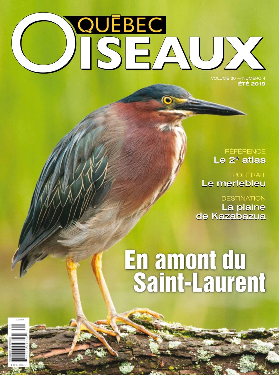 QuébecOiseaux 30(4)